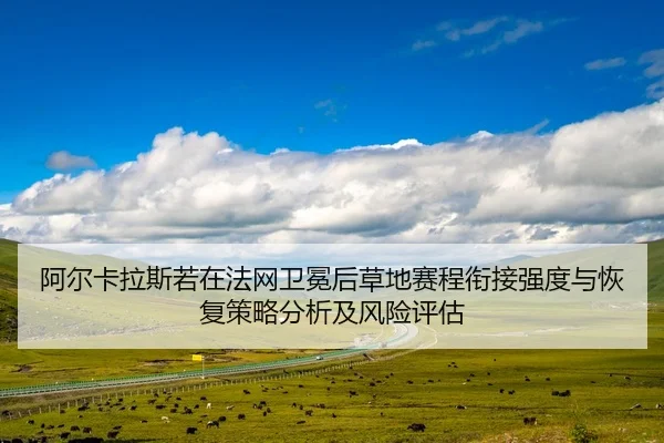 a-er-ka-la-si-ruo-zai-fa-wang-wei-mian-hou-cao-di-sai-cheng-xian-jie-qiang-du-yu-hui-fu-ce-lve-fen-xi-ji-feng-xian-ping-1-603.jpg