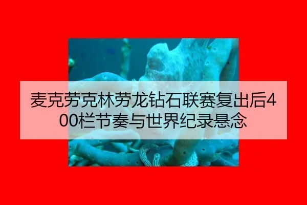 mai-ke-lao-ke-lin-lao-long-zuan-shi-lian-sai-fu-chu-hou-lan-jie-zou-yu-shi-jie-ji-lu-xuan-nian-2-153.jpg